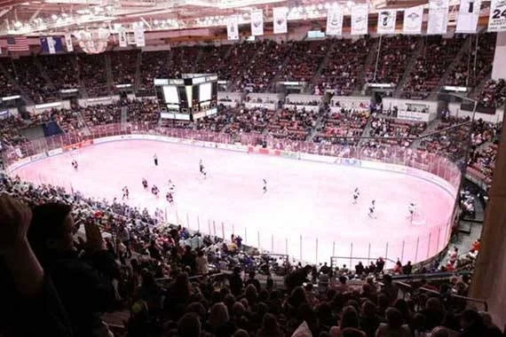 The Charleston Stingrays!