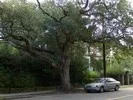 mount_pleasant_neighborhoods_133