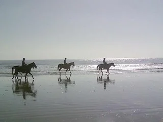 Seabrook Horseback Riding