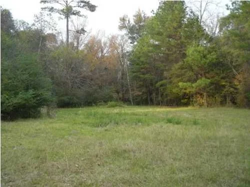 Summerville Land for Sale