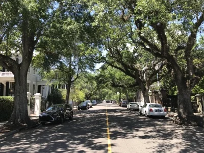 Beautiful Charleston Street